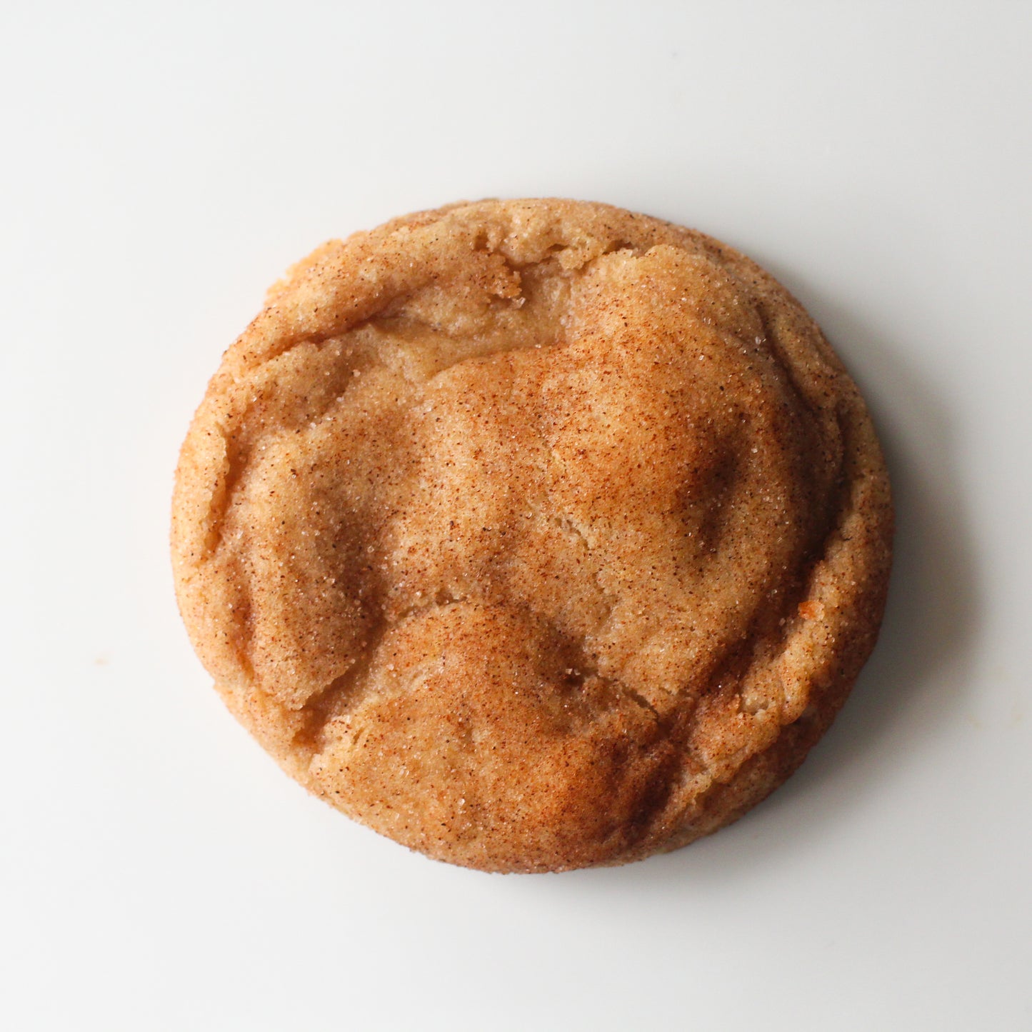 Snickerdoodle Cookie